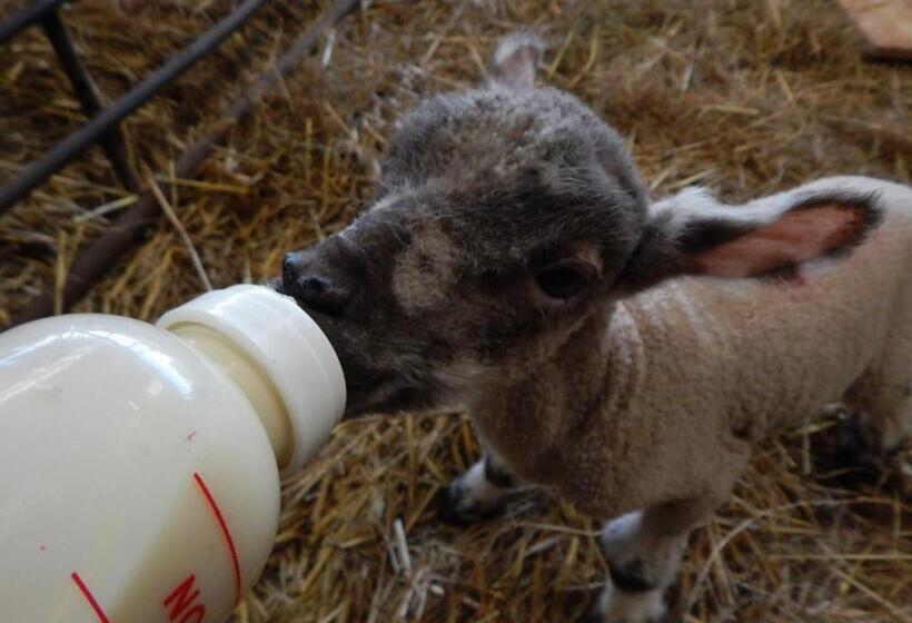 צימר Astwell Mill