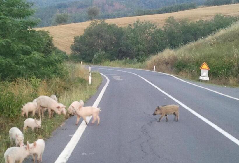 Bed and Breakfast Bbbagni