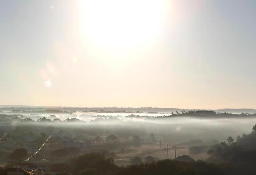 مبيت وإفطار Cavalo De Madeira