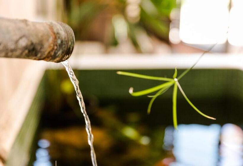 مبيت وإفطار Cavalo De Madeira