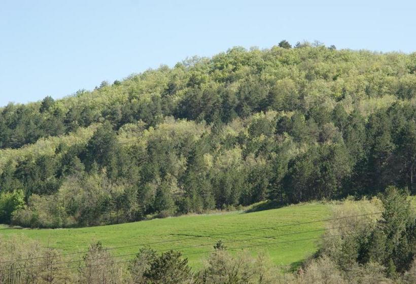 Bed and Breakfast Domaine De Luzenac