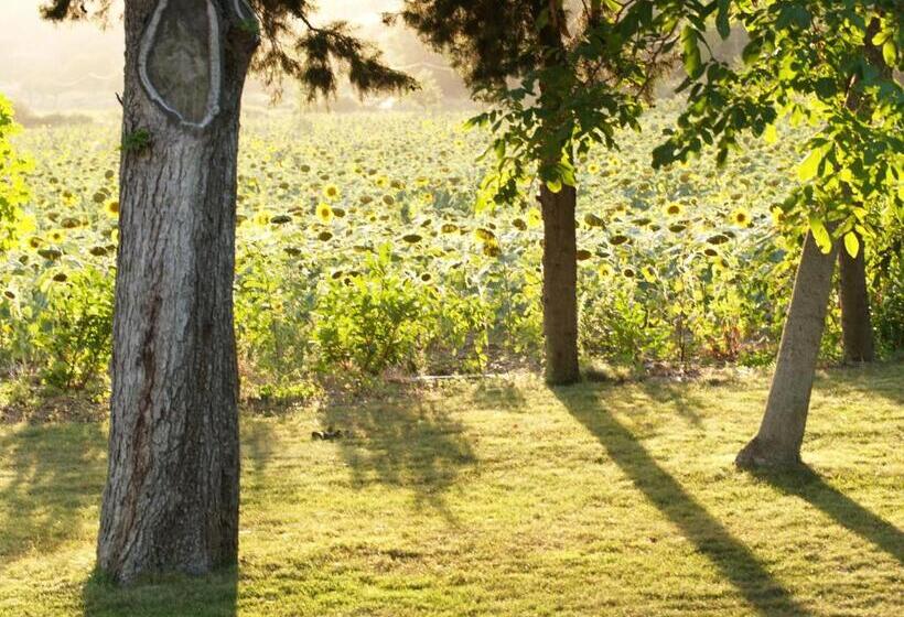 Bed and Breakfast Domaine De Luzenac