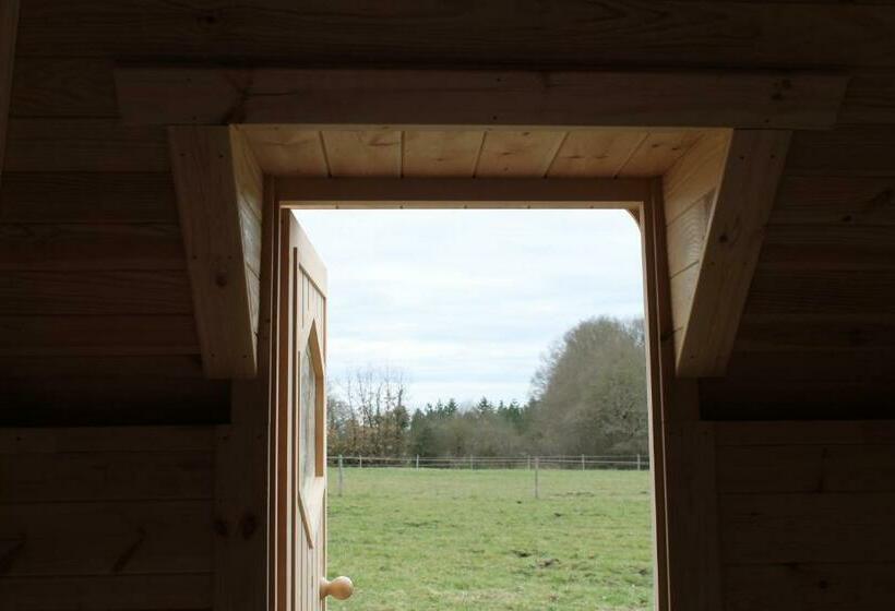 住宿加早餐 Dormir Ailleurs