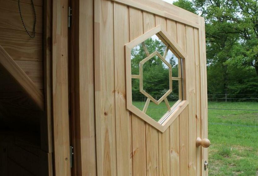 住宿加早餐 Dormir Ailleurs