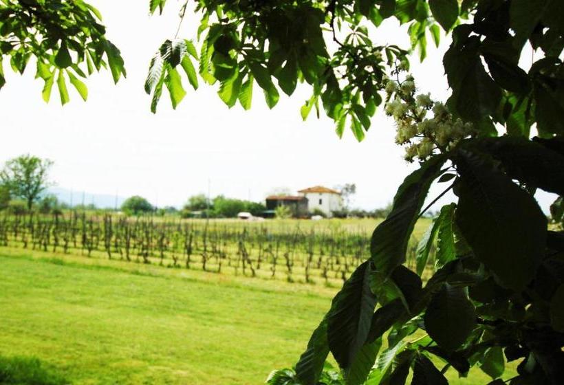 Bed and Breakfast La Ginestra