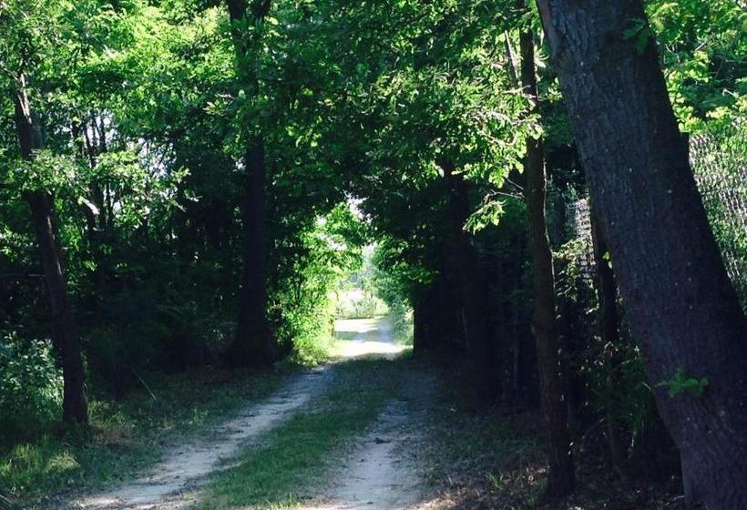 Bed and Breakfast La Ginestra