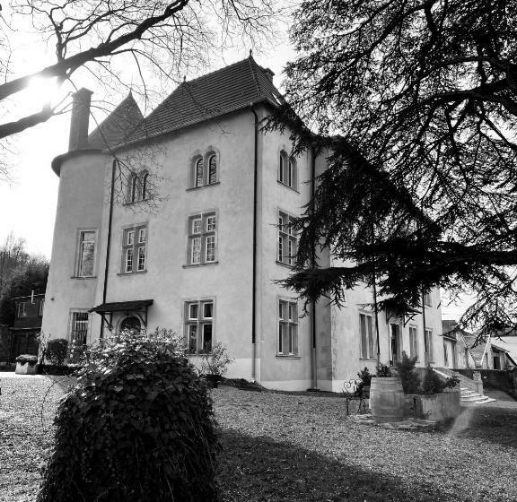 Bed And Breakfast Le Château De Morey