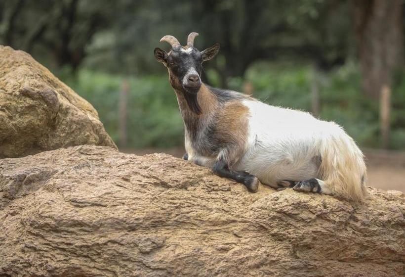 민박 Hôtel De La Distillerie