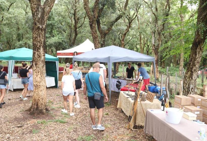 민박 Hôtel De La Distillerie