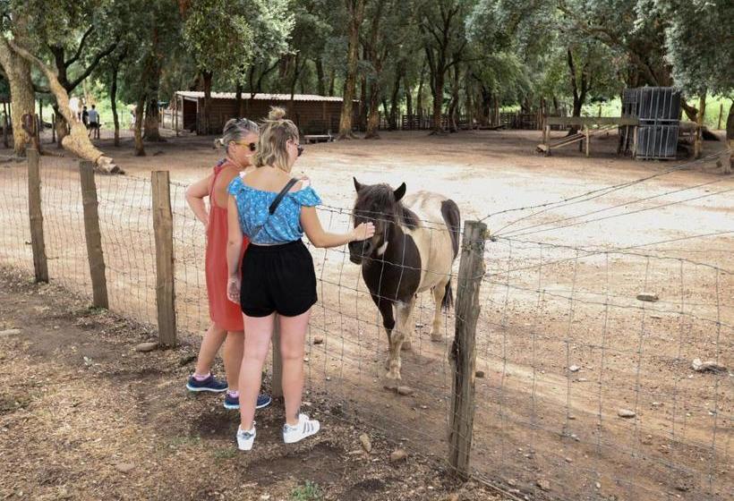 민박 Hôtel De La Distillerie