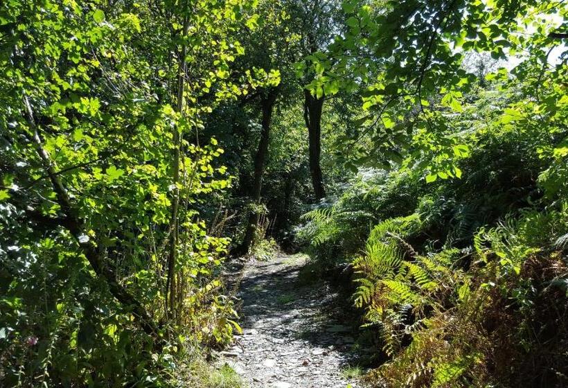 مبيت وإفطار Llety Cynin