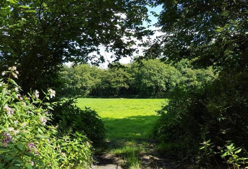 مبيت وإفطار Llety Cynin