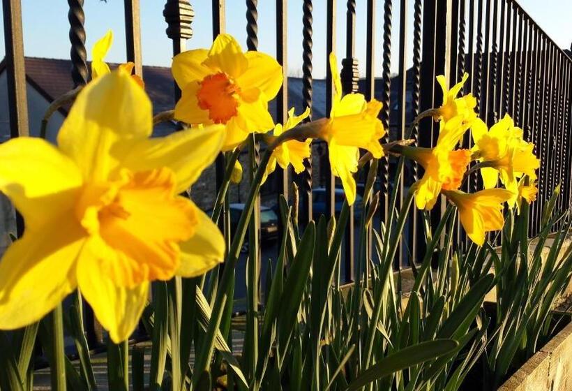 مبيت وإفطار Llety Cynin