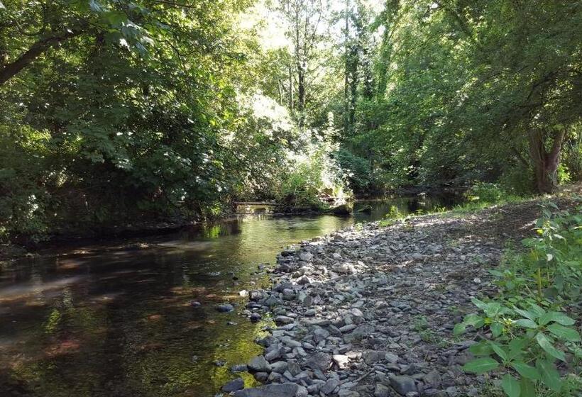 مبيت وإفطار Llety Cynin