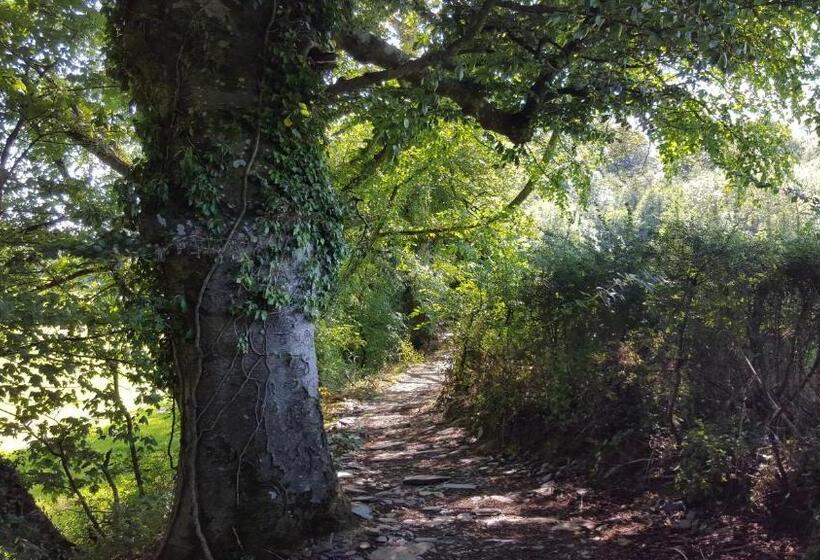 مبيت وإفطار Llety Cynin