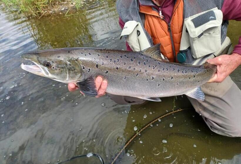 צימר Mason's Arms