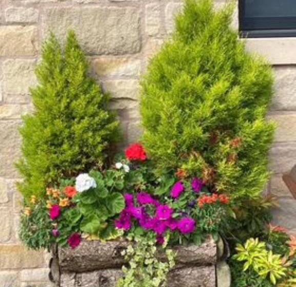 צימר Mason's Arms