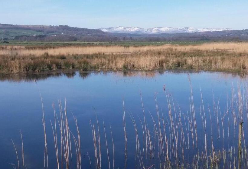 민박 Plumtree House