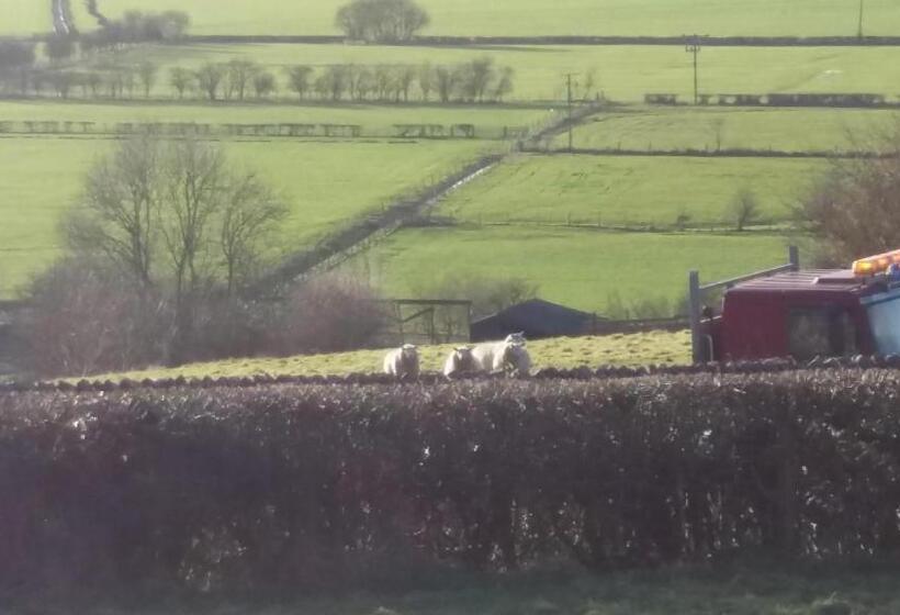 민박 Plumtree House