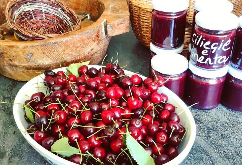 צימר Podere Orto Wine Country House