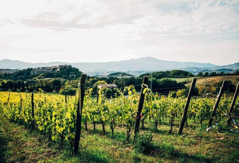 ベッドアンドブレックファースト Podere Orto Wine Country House