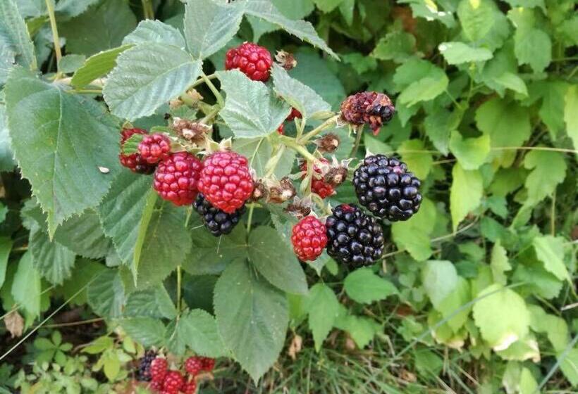 צימר Relais Villa Poschi