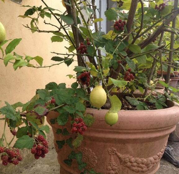 צימר Relais Villa Poschi