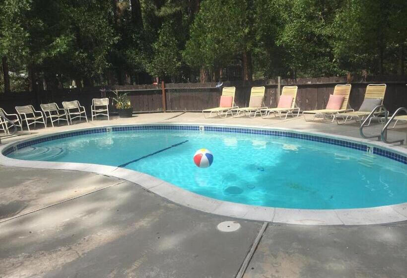 Bed and Breakfast Sierra Sky Lodge