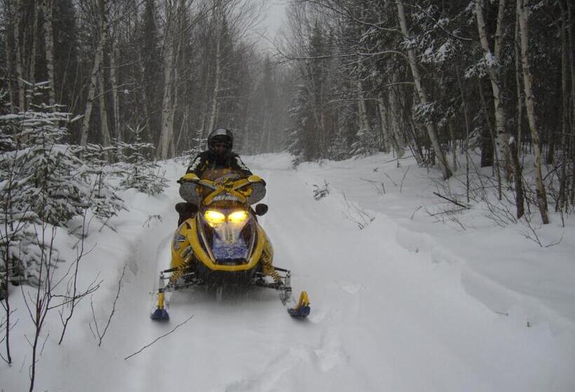 Bed and Breakfast Strong Timbers Bnb