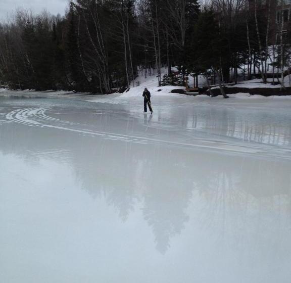 Bed and Breakfast Strong Timbers Bnb