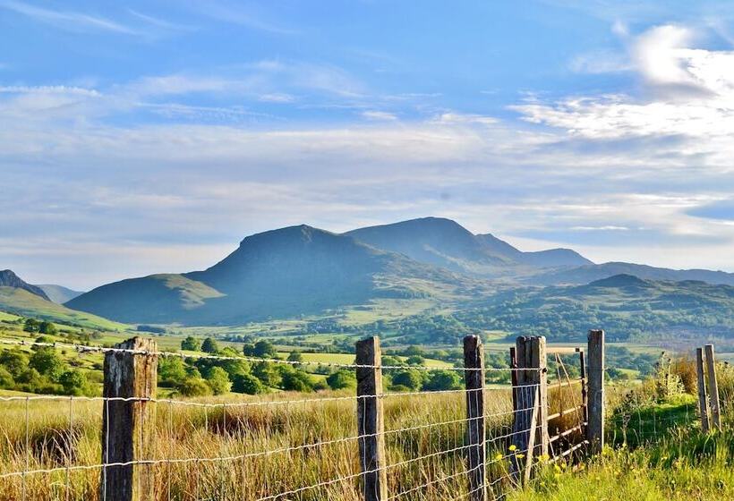 ベッドアンドブレックファースト The Firecat Country House Guesthouse