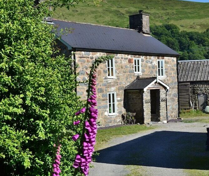 Bed and Breakfast The Firecat Country House Guesthouse