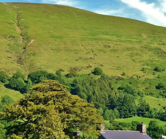 Bed and Breakfast The Firecat Country House Guesthouse