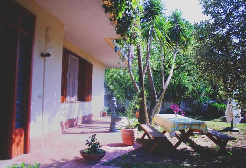 مبيت وإفطار Villa Palmira