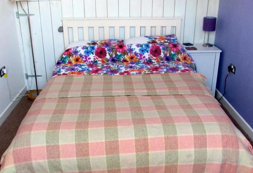 Bed and Breakfast Western House