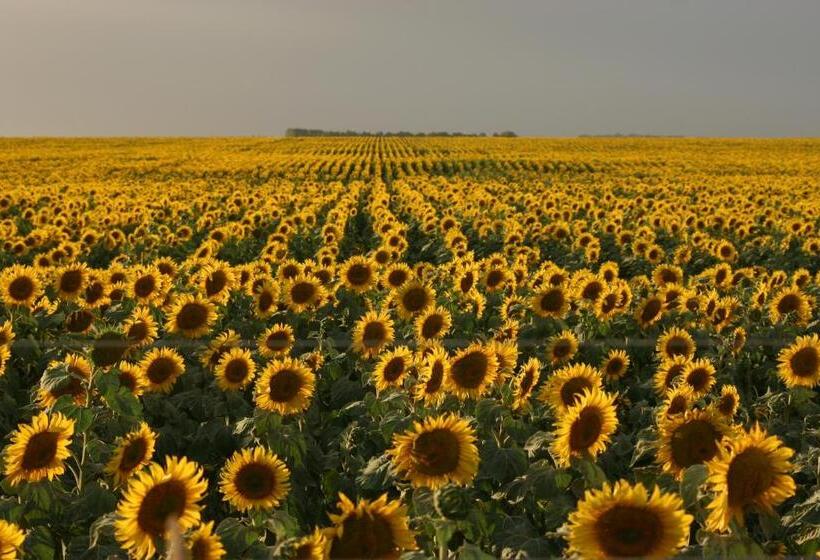 Club De Mar Terrazas Cayastá