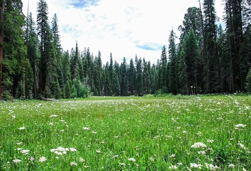 Bed and Breakfast Elliott House Boutique Inn