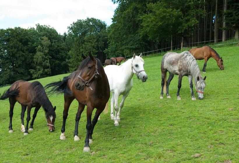 Familienhotel Hochrieß