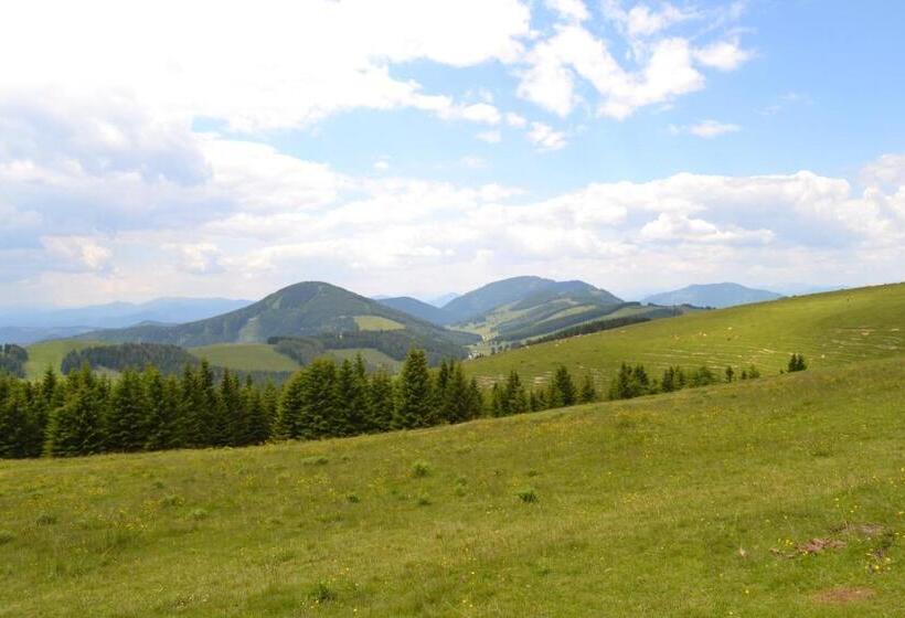 Gasthof Pension Schweiger Jagawirt