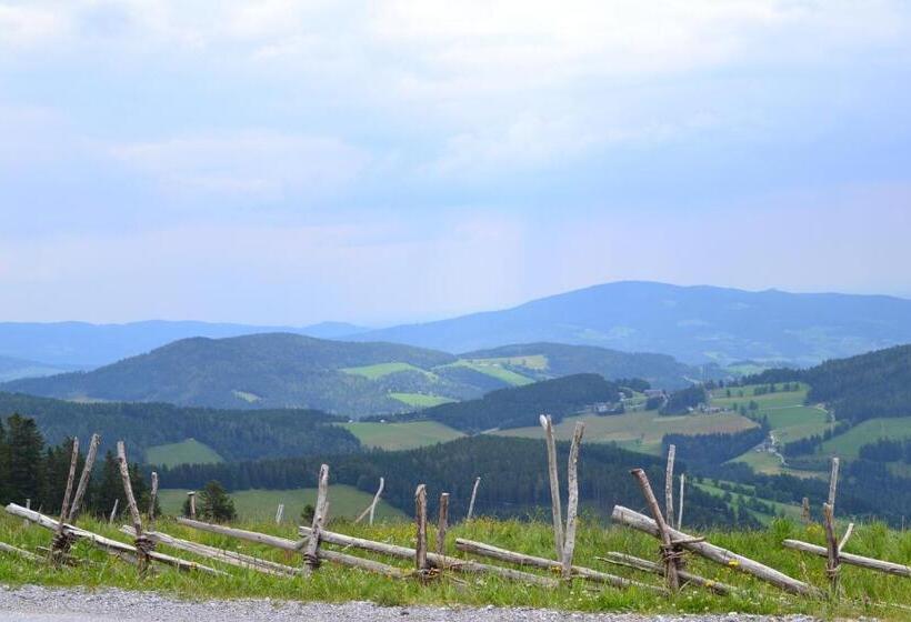 Gasthof Pension Schweiger Jagawirt