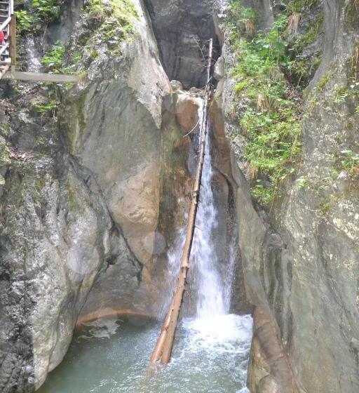 Gasthof Pension Schweiger Jagawirt