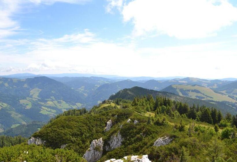 Gasthof Pension Schweiger Jagawirt