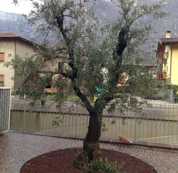 בית מלון כפרי Agritur Ai Masi