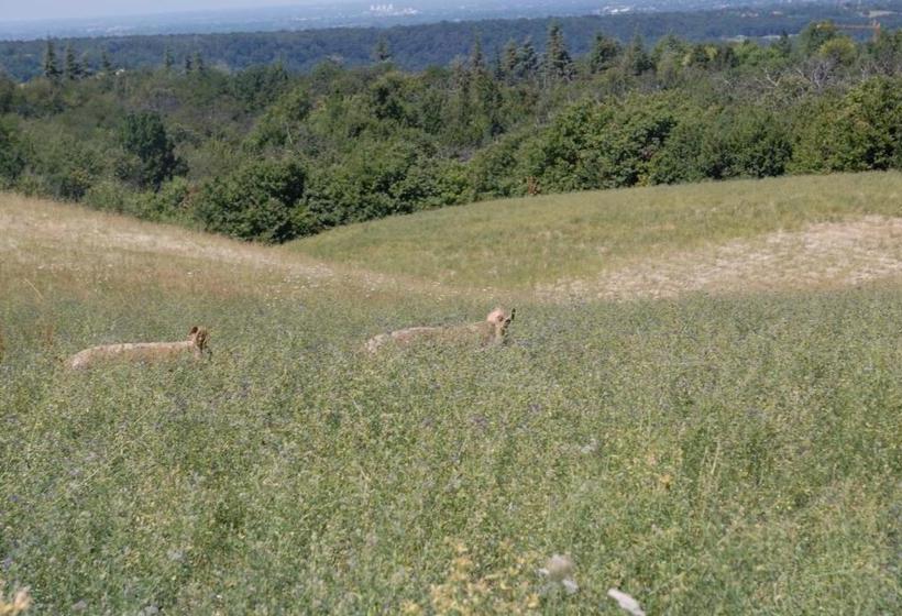 호텔 Agriturismo Azienda Agricola Miranti