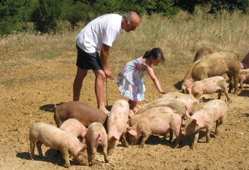 호텔 Agriturismo Azienda Agricola Miranti