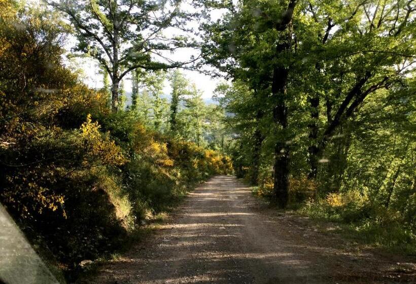 호텔 Agriturismo Badia Ficarolo