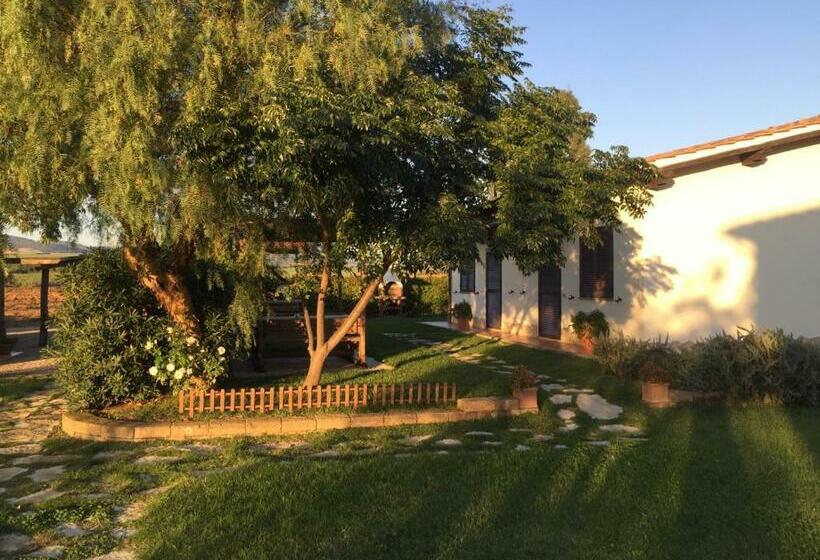 בית מלון כפרי Agriturismo Belvedere