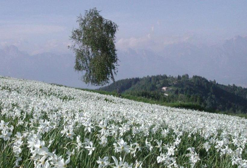 ホテル Agriturismo Bon Tajer