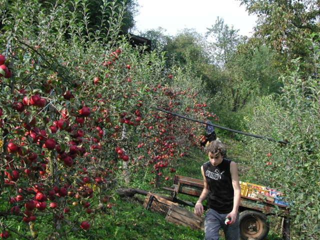 ホテル Agriturismo Bon Tajer
