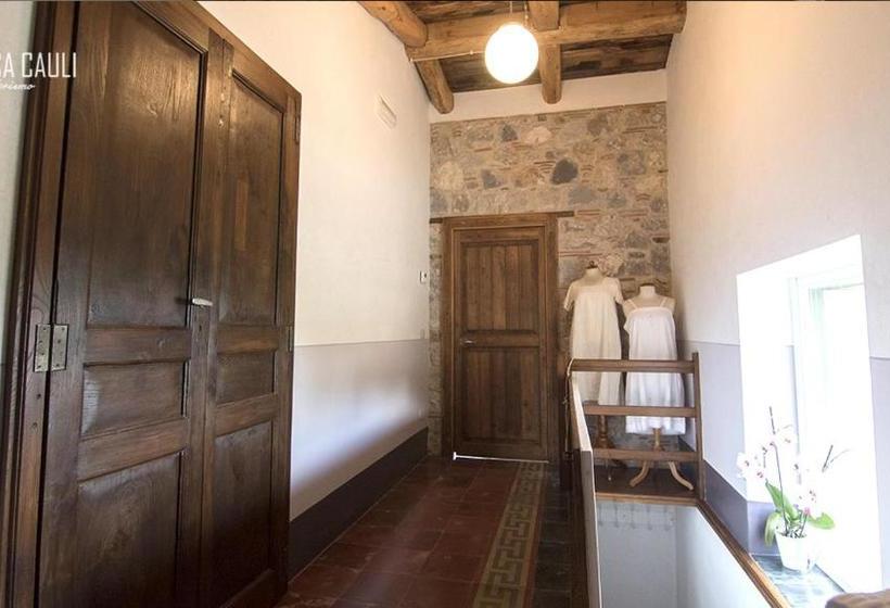 호텔 Casa Cauli Agriturismo